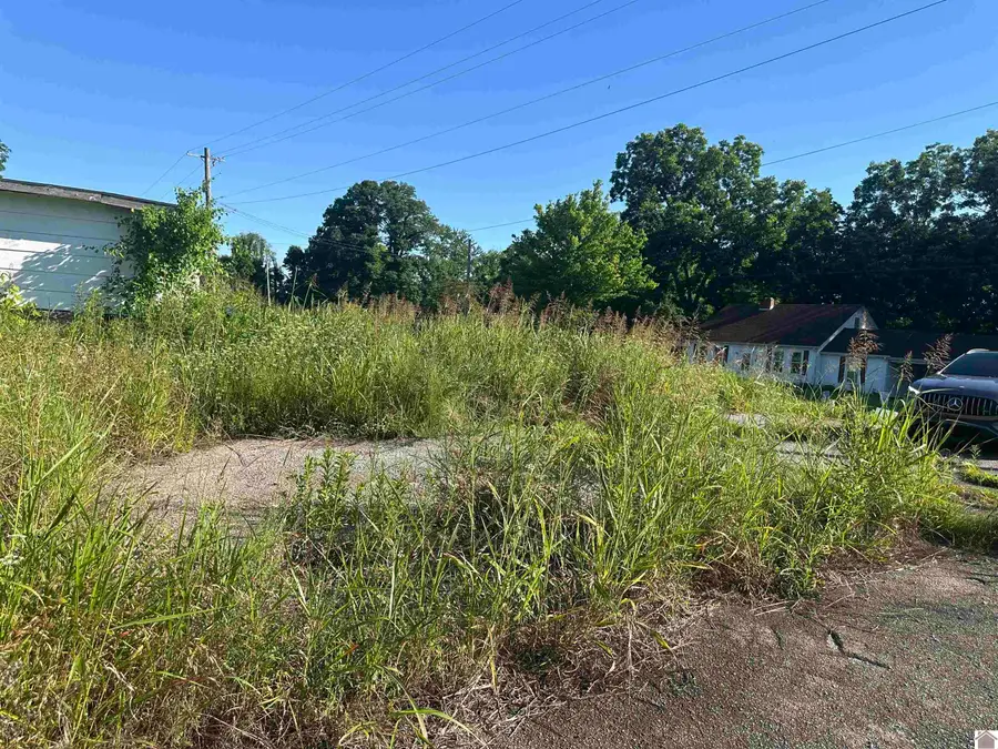 1108 Union City Hwy, Hickman, KY 42050 - #2