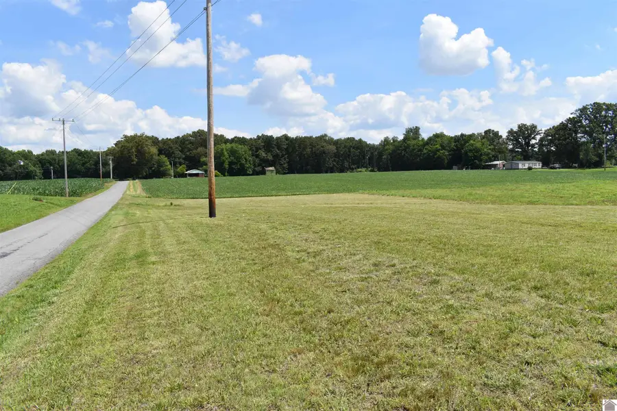 1975 Page Rd, Sedalia, KY 42079 - #3