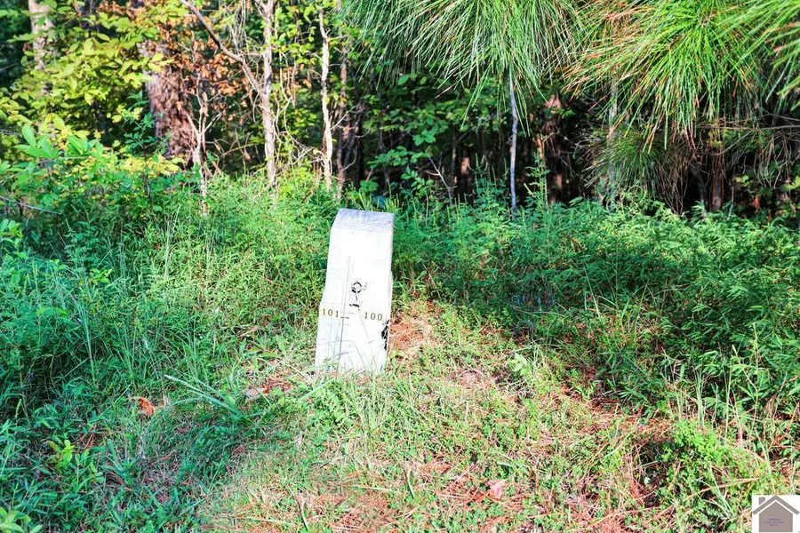 Lot 100 Western Drive, Murray, KY 42071 - #3