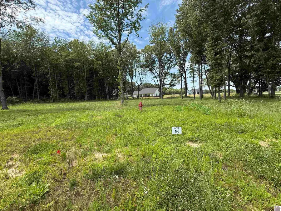 Lot  16 Ellie Court, Mayfield, KY 42066 - #3