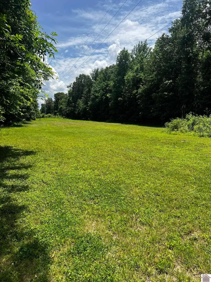 1040 Vasseur Ave, Paducah, KY 42003 - #2