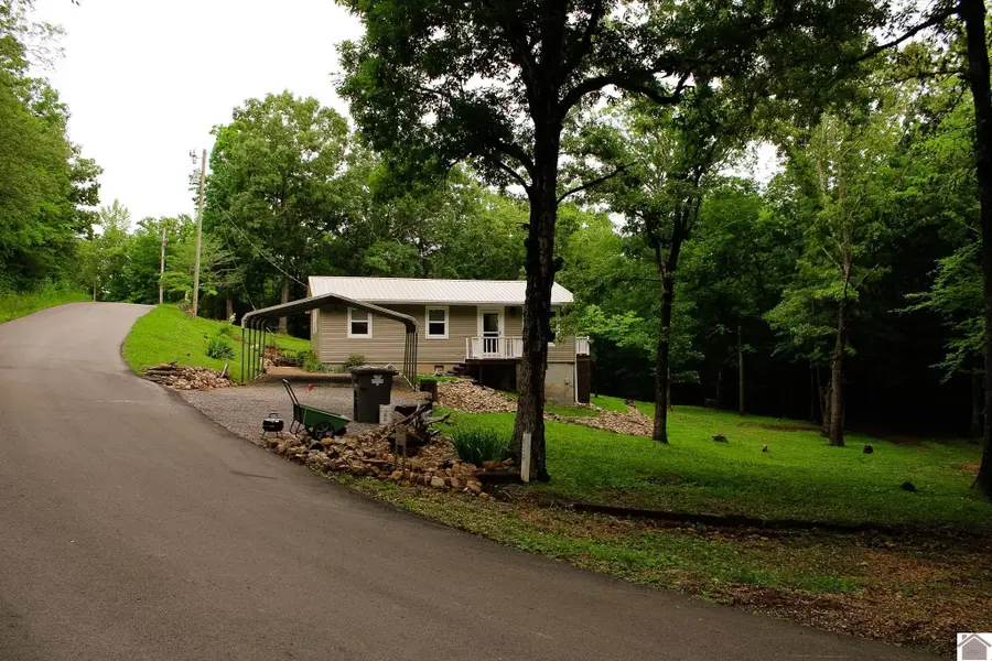 619 Lakeshore Dr, New Concord, KY 42076 - #3