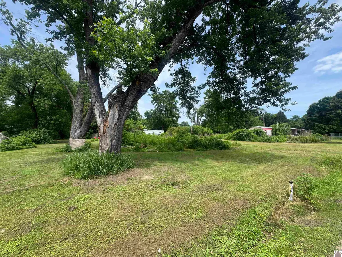 414 State Highway 1748 E, Mayfield, KY 42066 - #1