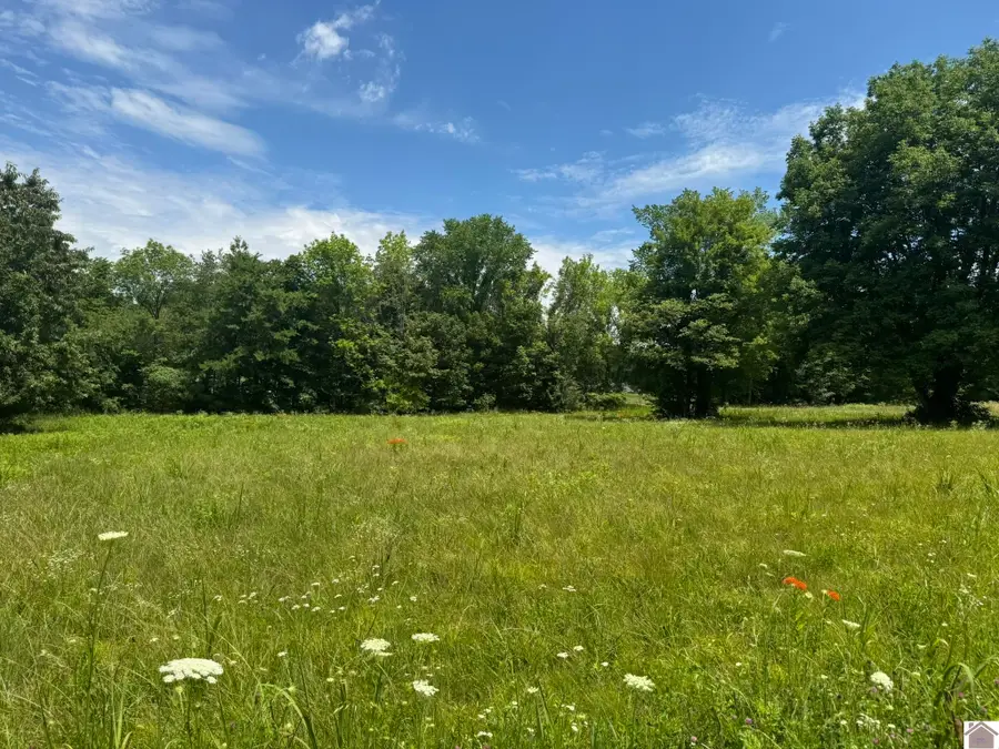 000 Brentwood Dr, Paducah, KY 42003 - #2