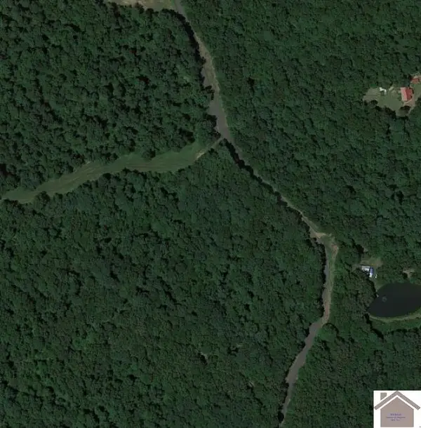 00 High Road, Sedalia, KY 42079