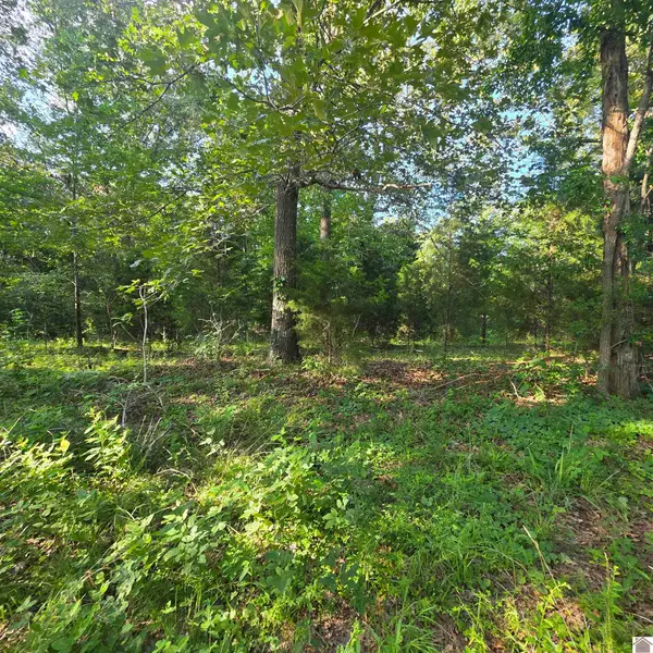 000 Valhalla, Benton, KY 42025