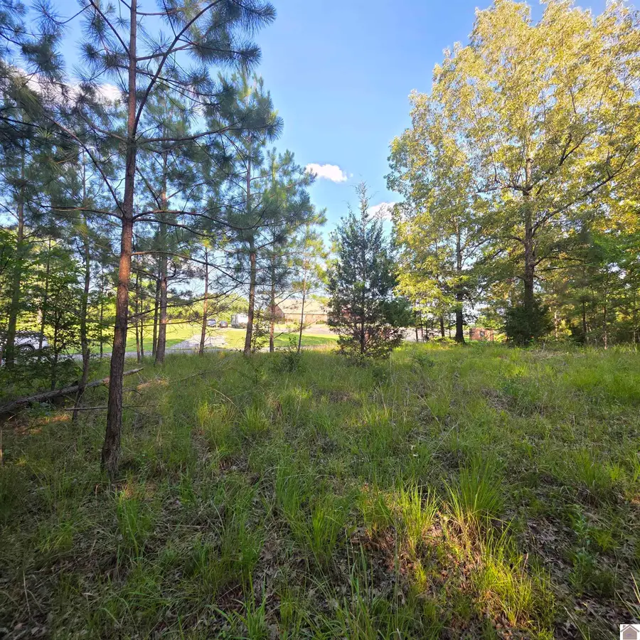 000 Valhalla, Benton, KY 42025 - #2