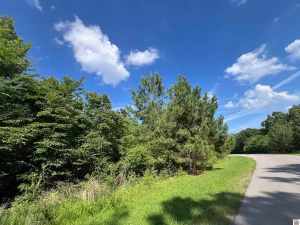 Unit 1 Lot 47 Waterfowl Rd., Murray, KY 42071