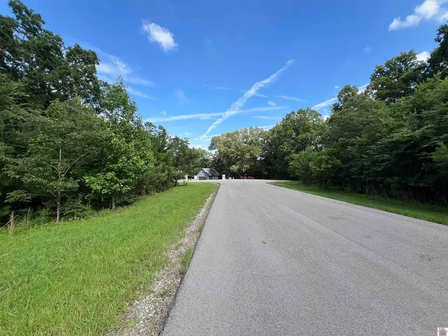 Unit 1 Lot 47 Waterfowl Rd., Murray, KY 42071 - #3