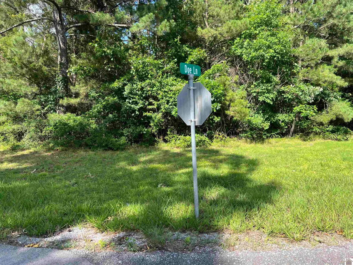 Unit 2 Lot 96 Briarfield Road, Murray, KY 42071 - #1
