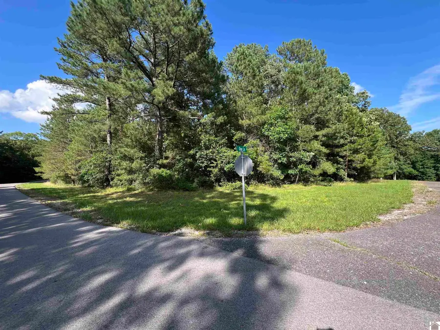 Unit 2 Lot 96 Briarfield Road, Murray, KY 42071 - #2