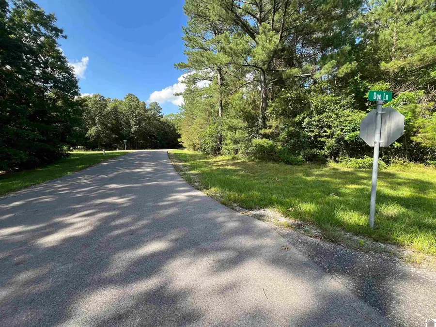 Unit 2 Lot 96 Briarfield Road, Murray, KY 42071 - #3