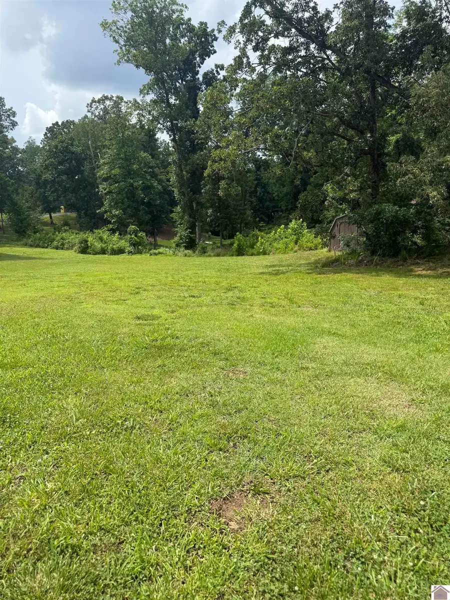 102 Autumn Lane, Gilbertsville, KY 42044 - #3