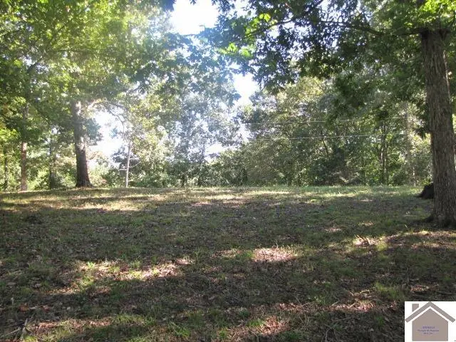 00 Parkersville Rd, Eddyville, KY 42038 - #3