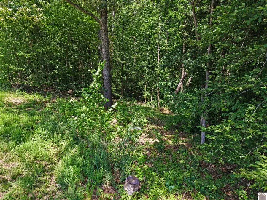 Lot 30 Sutherland Winds, Cadiz, KY 42211 - #3