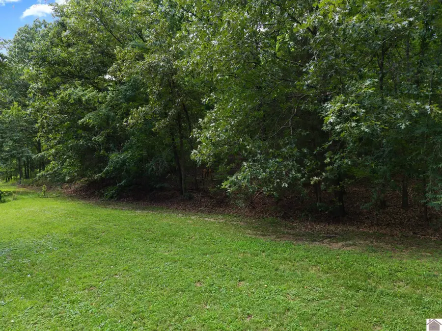 Lot 7 Donaldson Shores, Cadiz, KY 42211 - #2