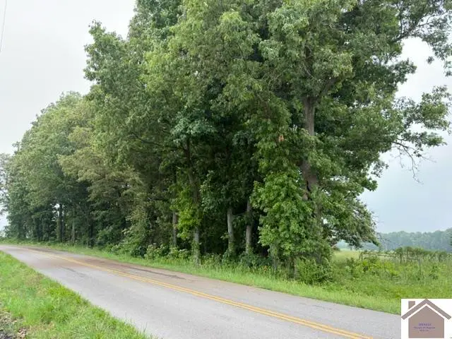 000 Taylor Store Road, Murray, KY 42071 - #1