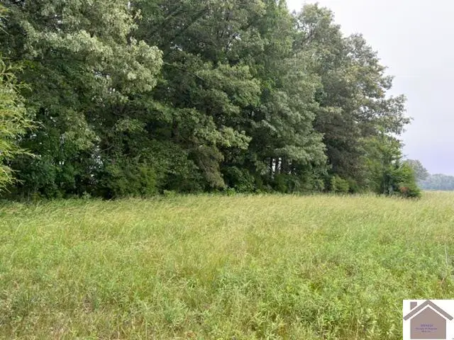 000 Taylor Store Road, Murray, KY 42071 - #2