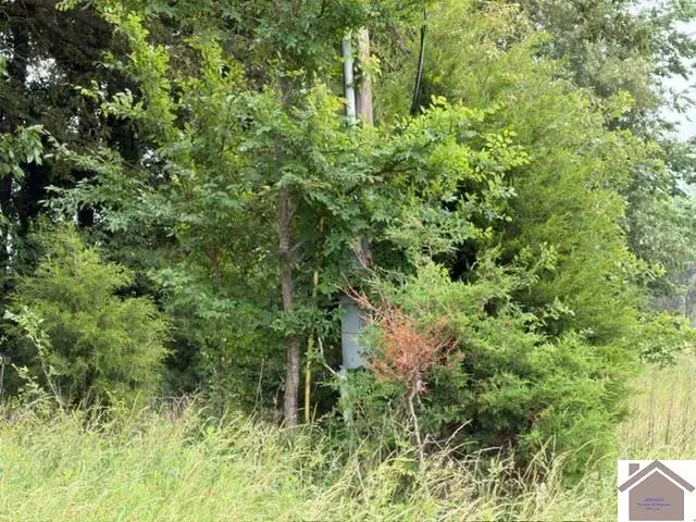 000 Taylor Store Road, Murray, KY 42071 - #3