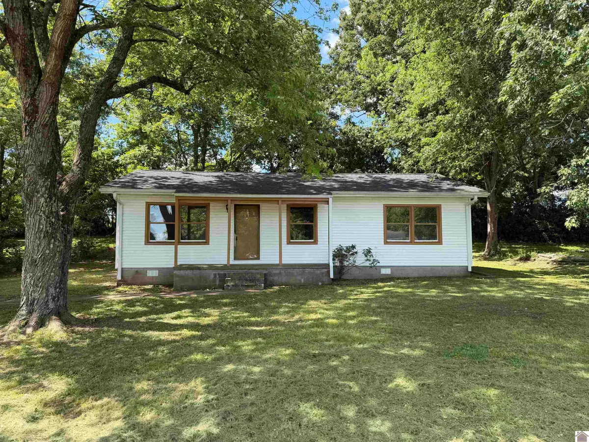 203 Prince Court, Princeton, KY 42445 - #1