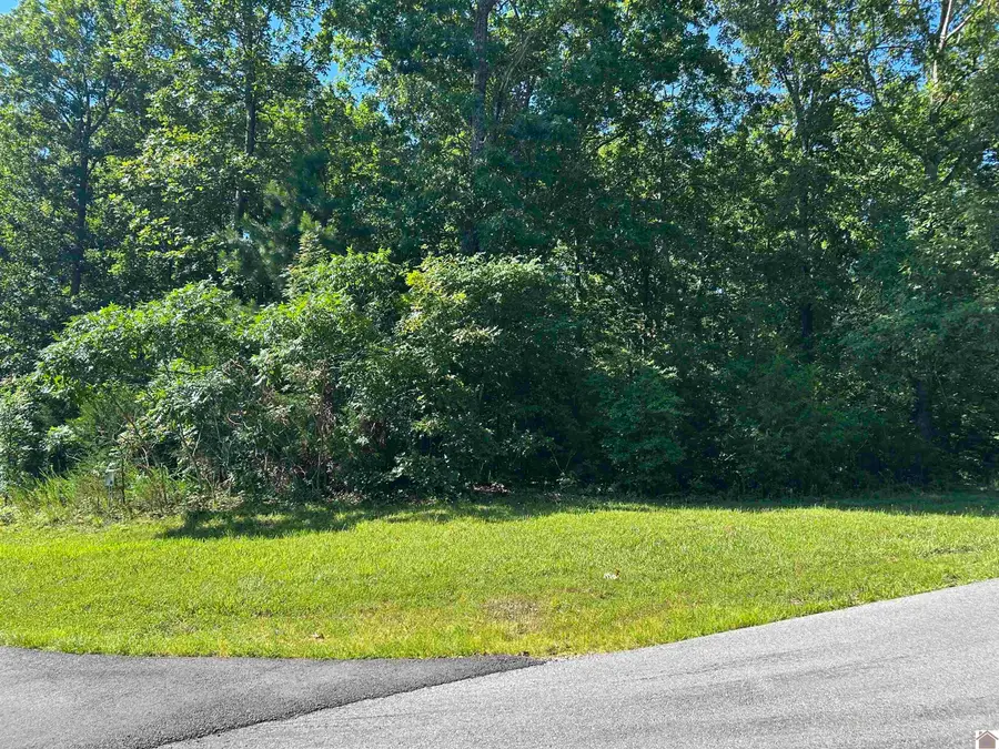 Lot 131 Deepwood Dr., Murray, KY 42071 - #2