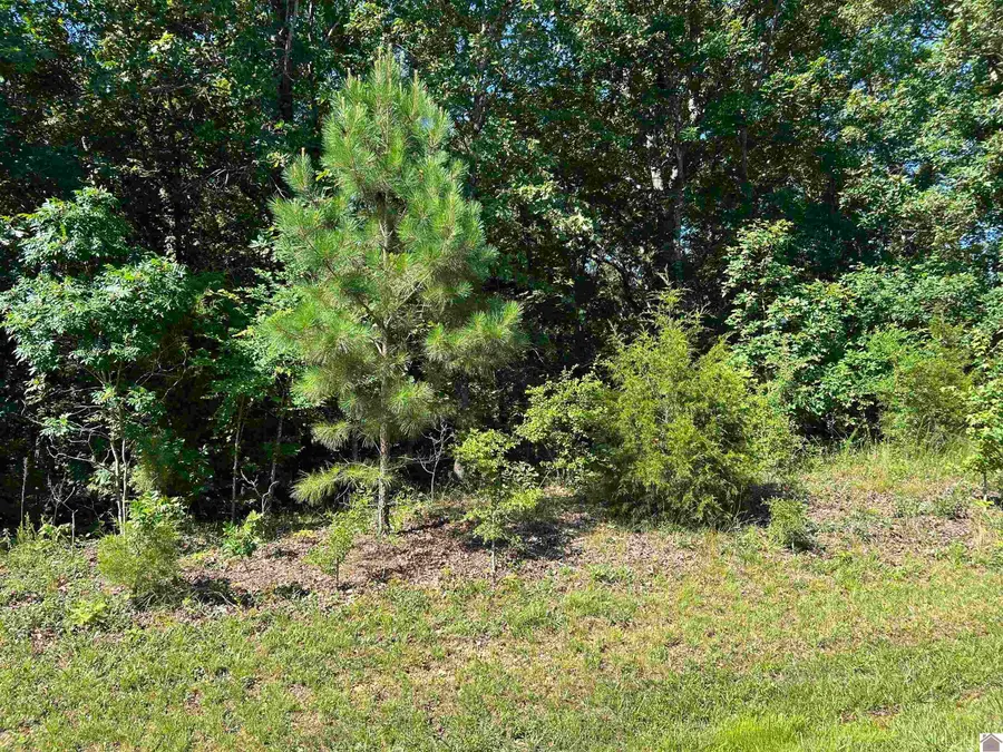 Lot 131 Deepwood Dr., Murray, KY 42071 - #3