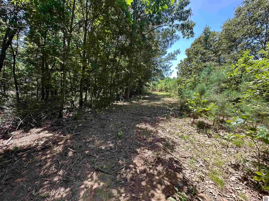 669 Cedar Point Lane, Benton, KY 42025 - #2