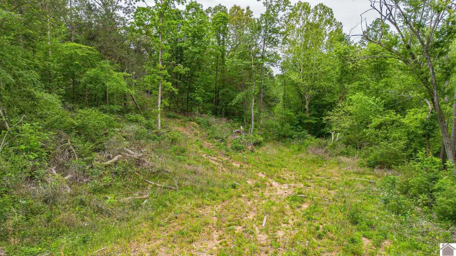 0 Chester Rd  - Tract A, Kirksey, KY 42054 - #2