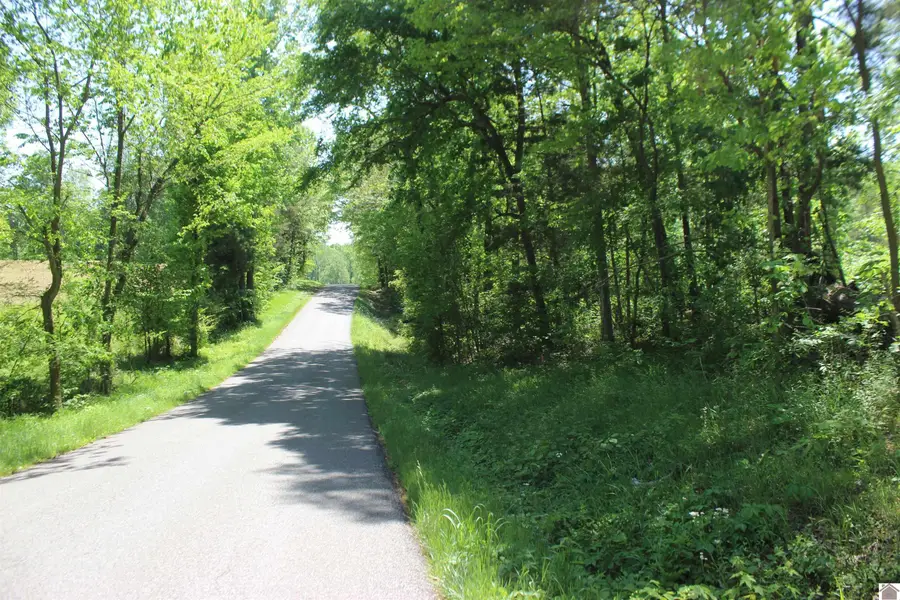 0 Emanuel Lane - Tract B, Kirksey, KY 42054 - #3