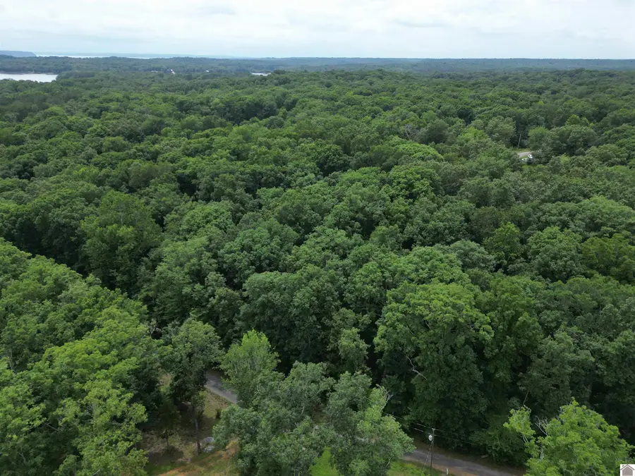 0 Woodview Drive, New Concord, KY 42076 - #2