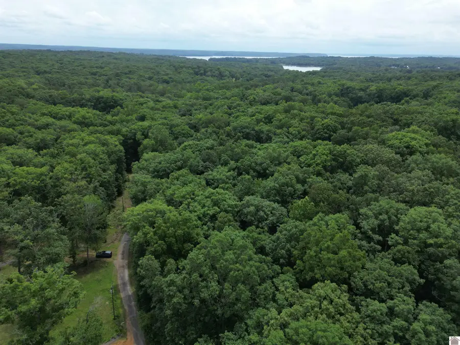 0 Woodview Drive, New Concord, KY 42076 - #3