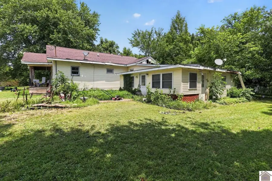 146 Mcguire Rd, Symsonia, KY 42082 - #3