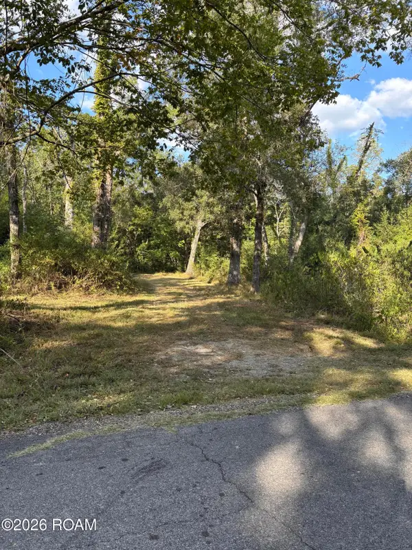 000 Oak Shadows Drive, Abbeville, LA 70510