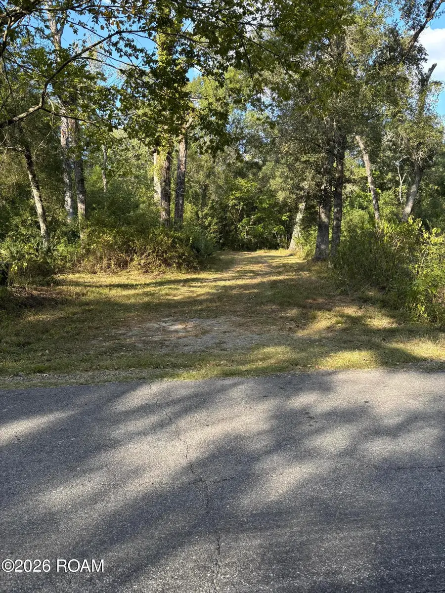 000 Oak Shadows Drive, Abbeville, LA 70510 - #2