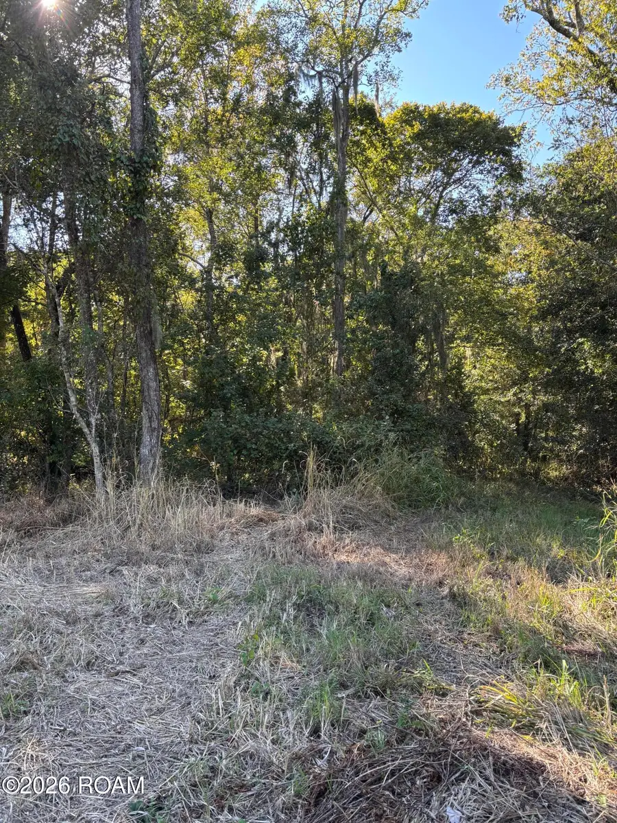 000 Oak Shadows Drive, Abbeville, LA 70510 - #3