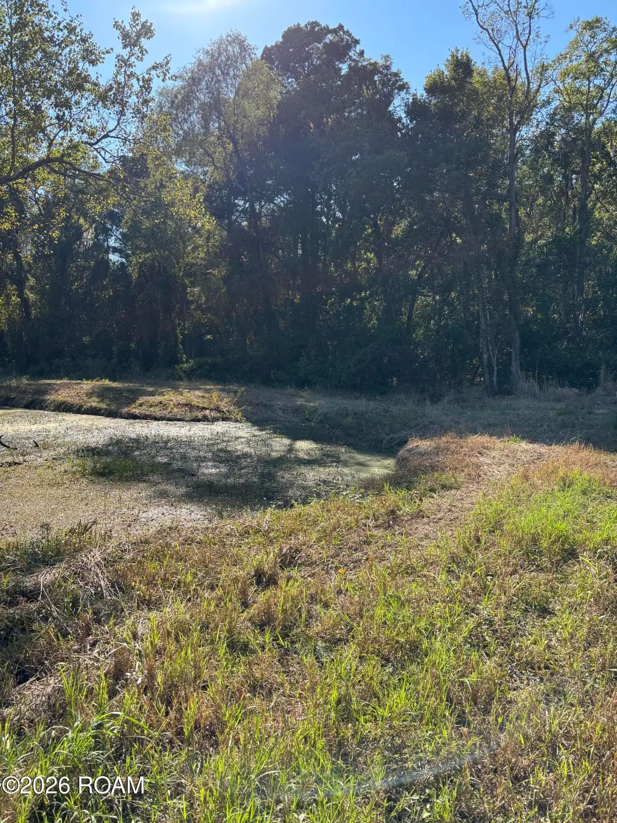0000 Wildwood Way, Abbeville, LA 70510 - #1