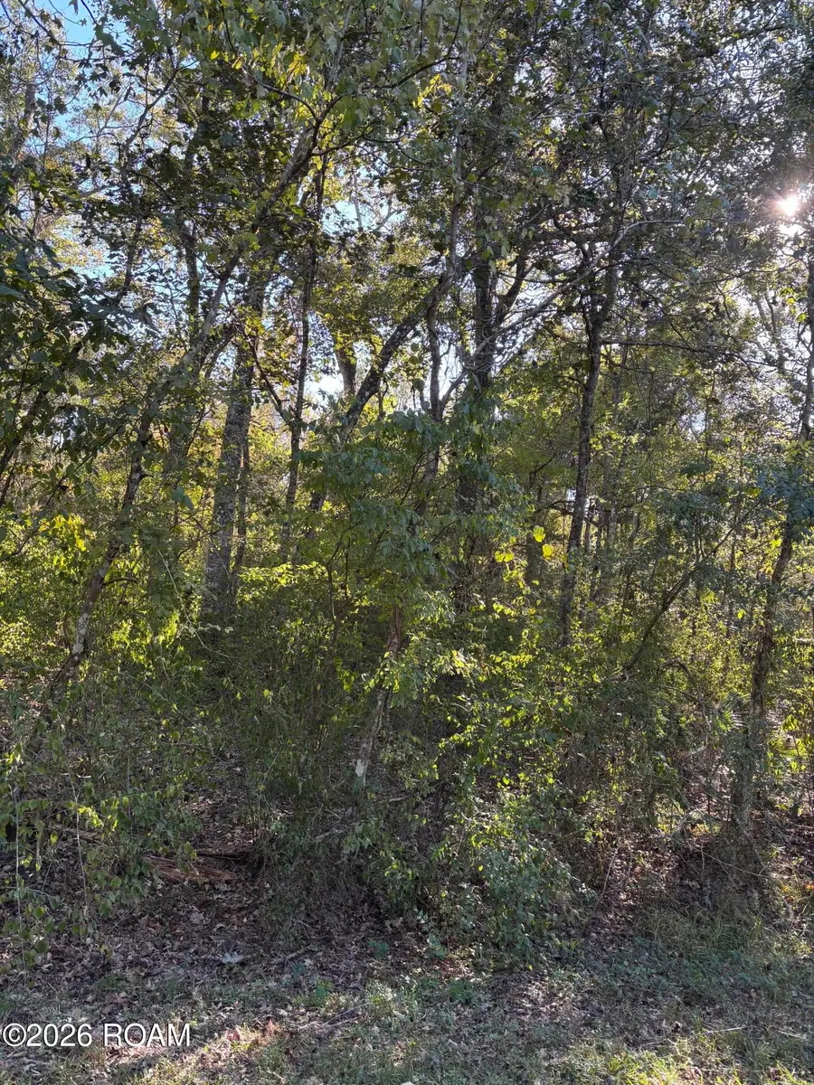 0000 Wildwood Way, Abbeville, LA 70510 - #2