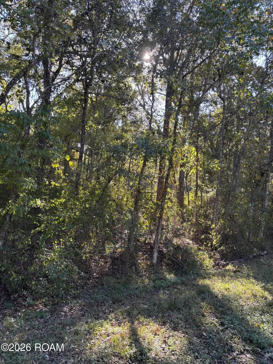 0000 Wildwood Way, Abbeville, LA 70510 - #3