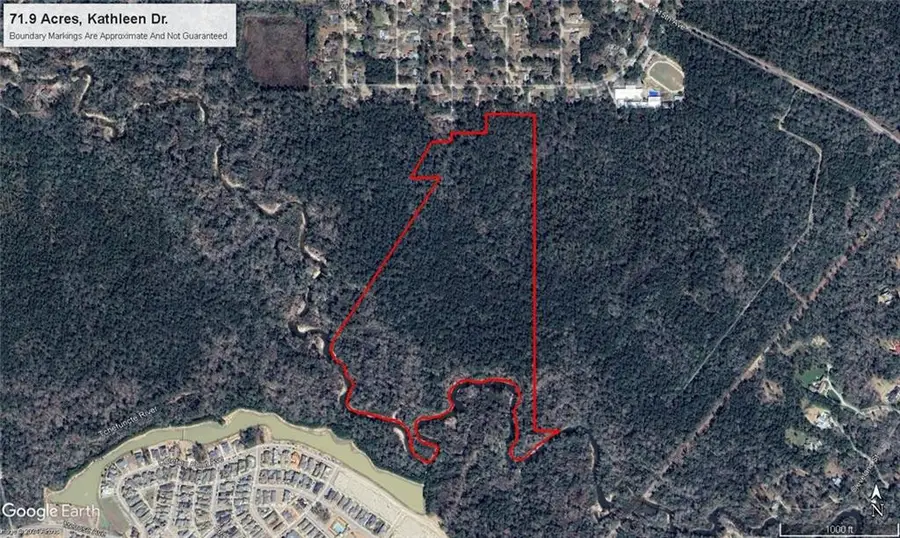 72 Acres Kathleen Drive, Covington, LA 70433 - #2