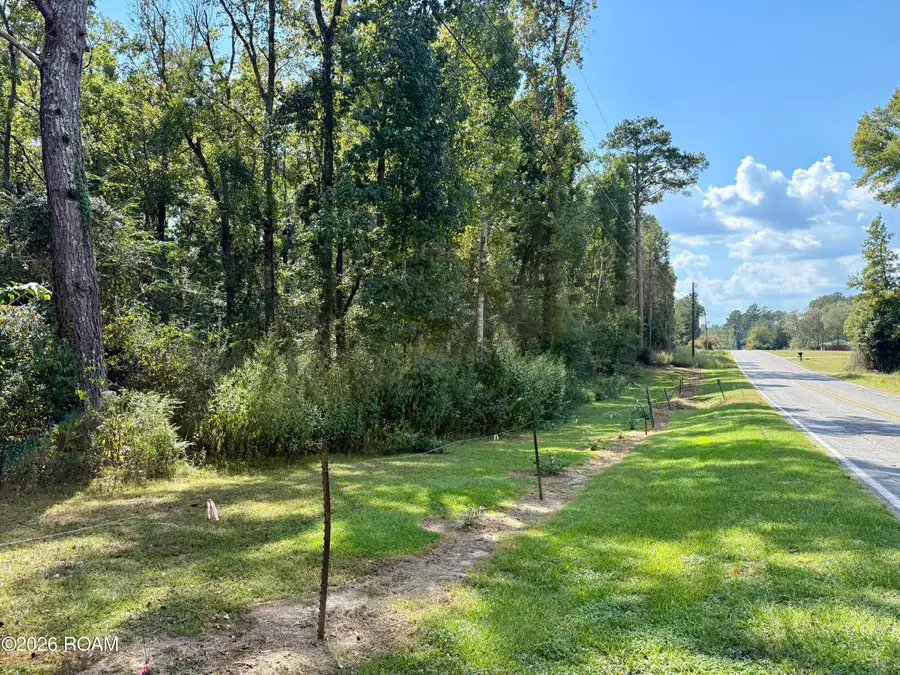 0 Highway 38, Mount Hermon, LA 70450 - #3