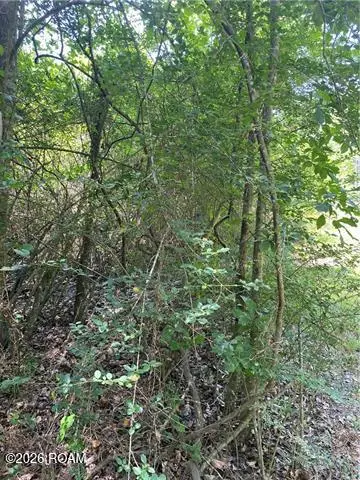 Tbd Par Road 545 ,west Street Street, Franklinton, LA 70438 - #2