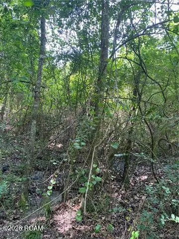 Tbd Par Road 545 ,west Street Street, Franklinton, LA 70438 - #3