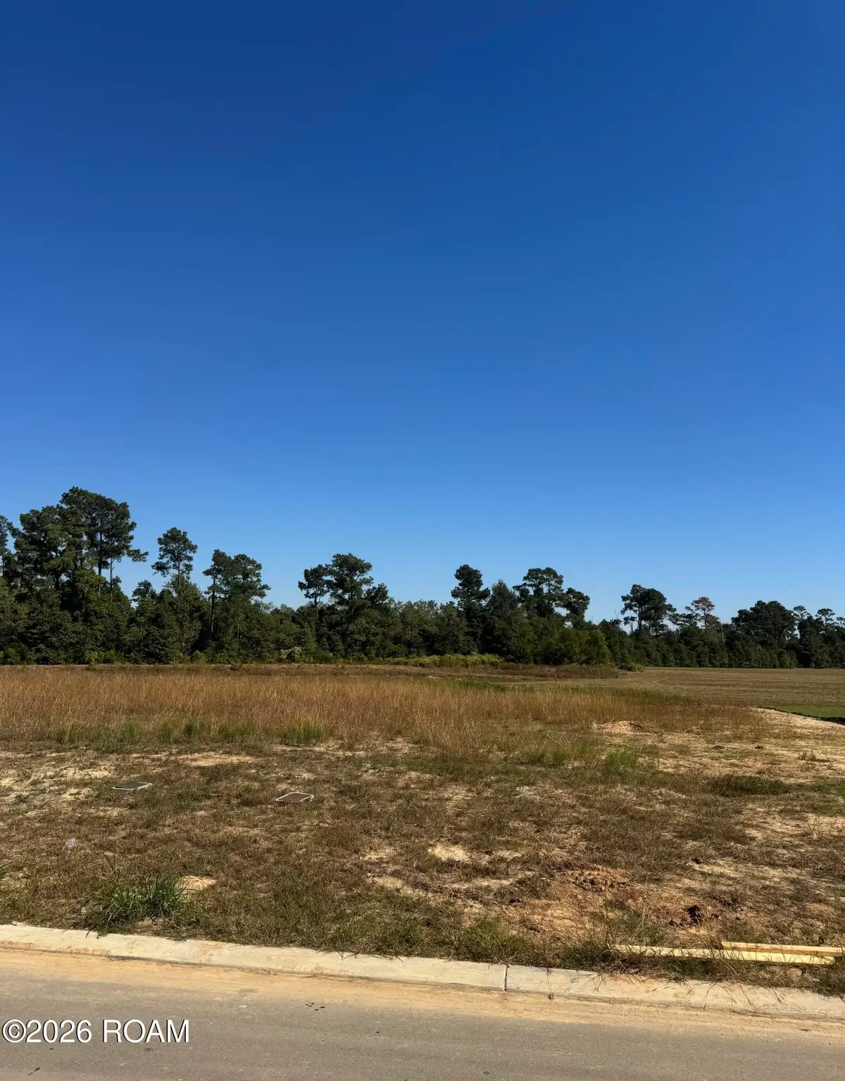 3146 Snowy Egret Drive, Lake Charles, LA 70615 - #1