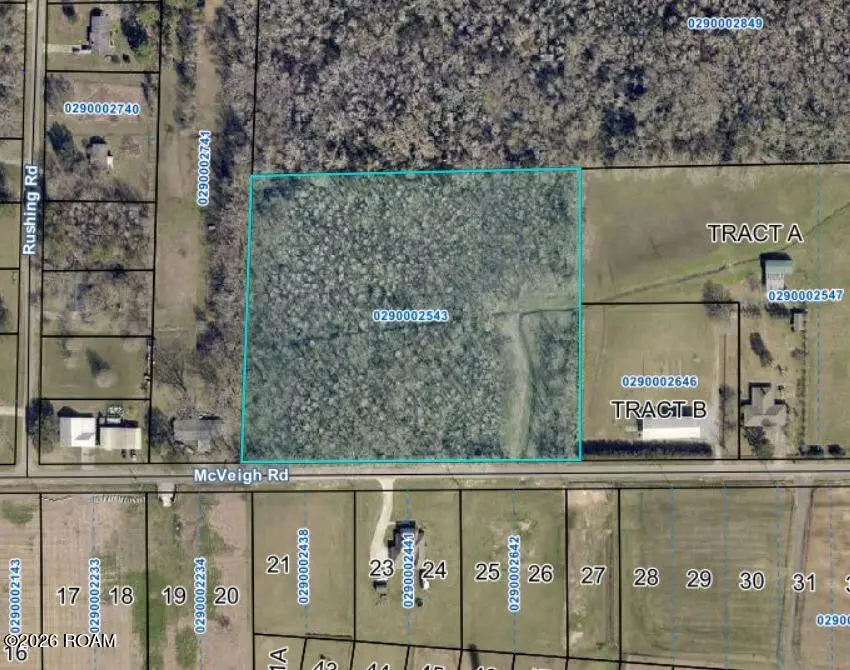 1175 Mcveigh Road, Arnaudville, LA 70512 - #3