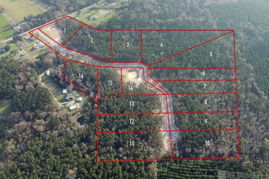 18442 Settlement Trace, Livingston, LA 70754 - #3