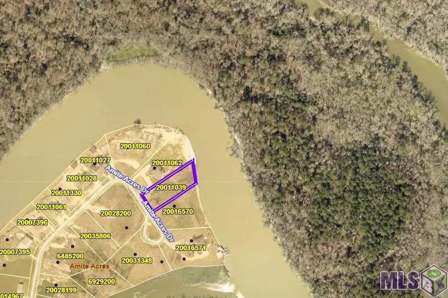 18475 Amite Acres Dr, Prairieville, LA 70769 - #2