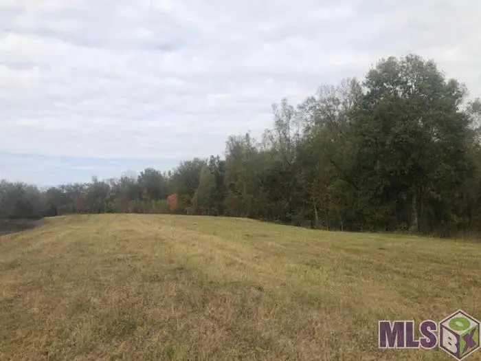 1093 Poydras Bayou Dr, Port Allen, LA 70767 - #1