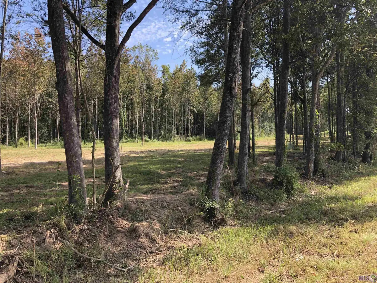 1629 Midway Rd, Slaughter, LA 70777 - #1