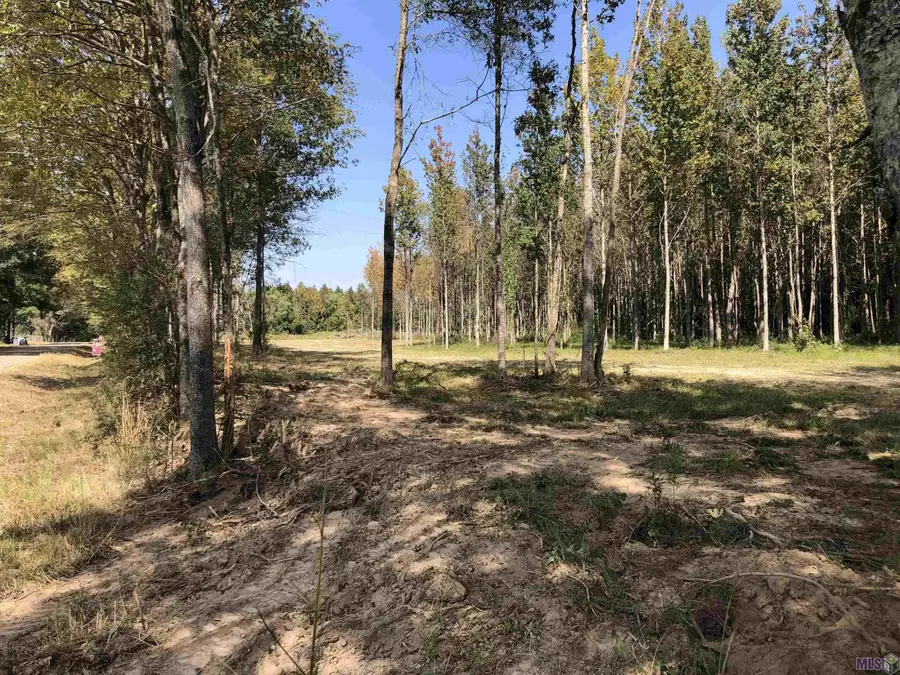 1629 Midway Rd, Slaughter, LA 70777 - #2
