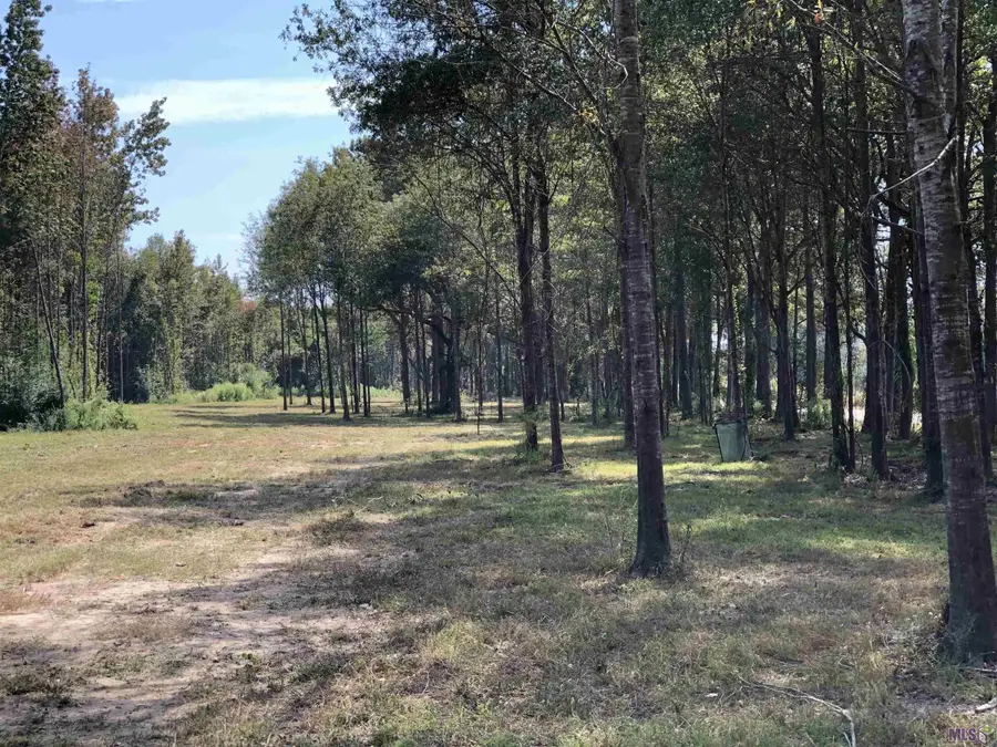 1629 Midway Rd, Slaughter, LA 70777 - #3